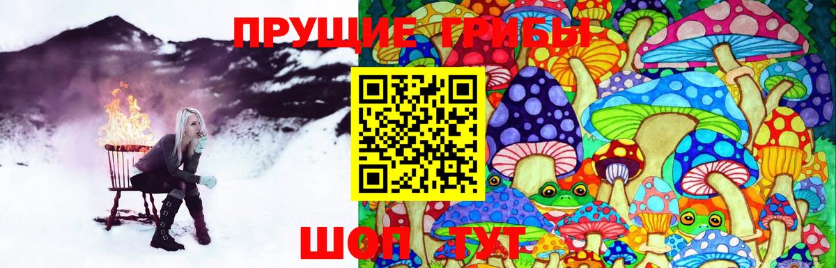 Дербент  Галлюциногенные грибы Cubensis  Псилоцибиновые грибы мицелий  цены наркотик  Вход с VPN 